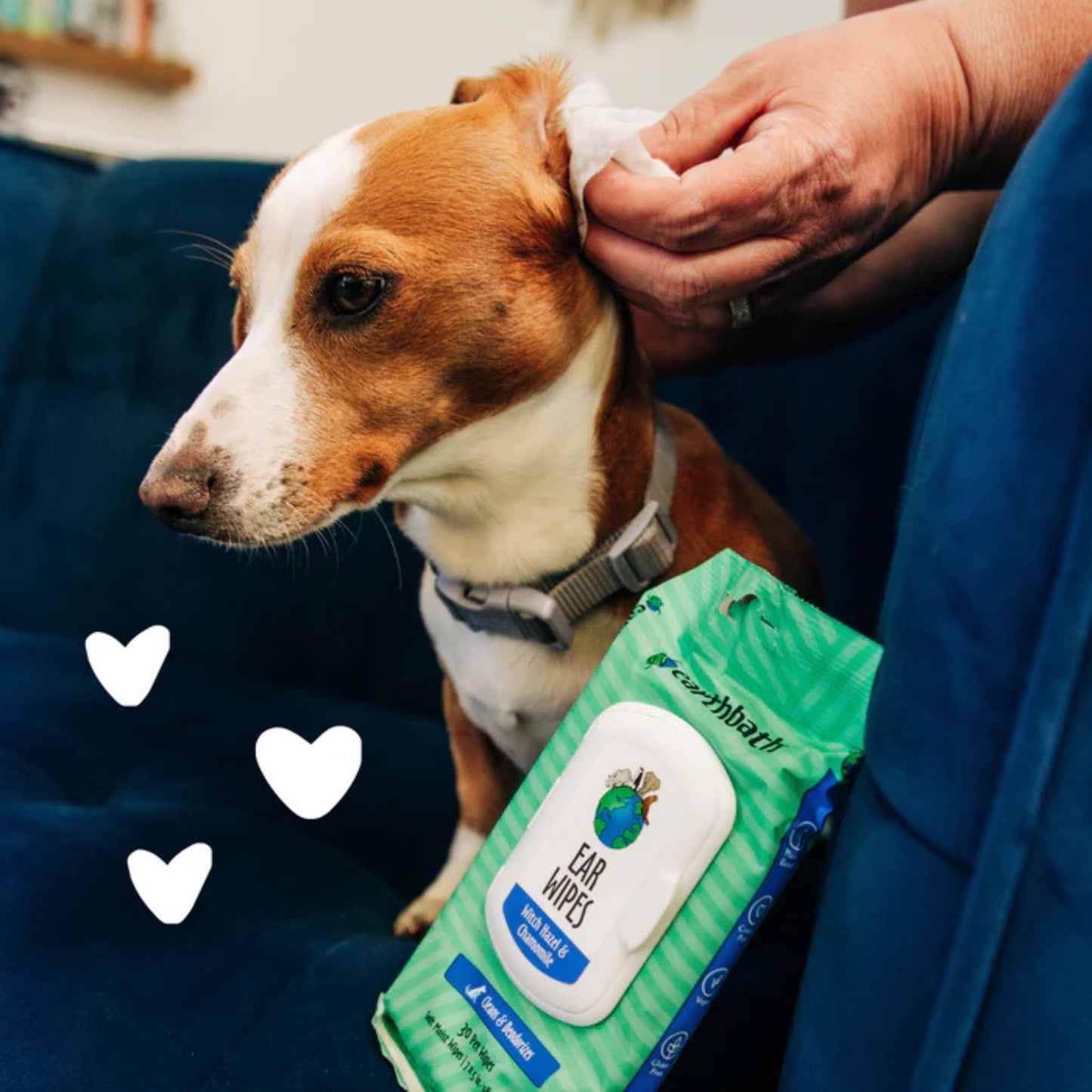 Earthbath Ear Wipes