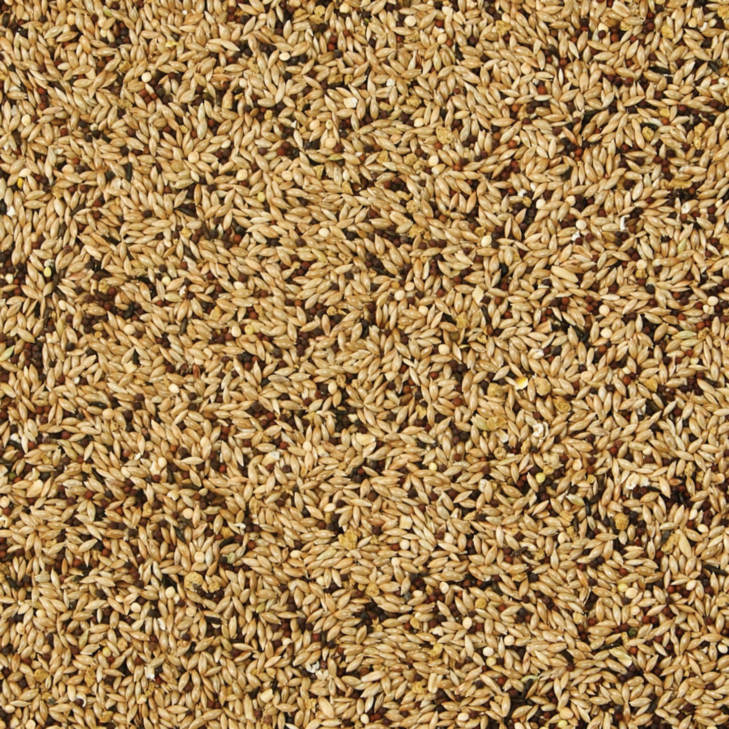 Kaytee Supreme Canary and Finch Food