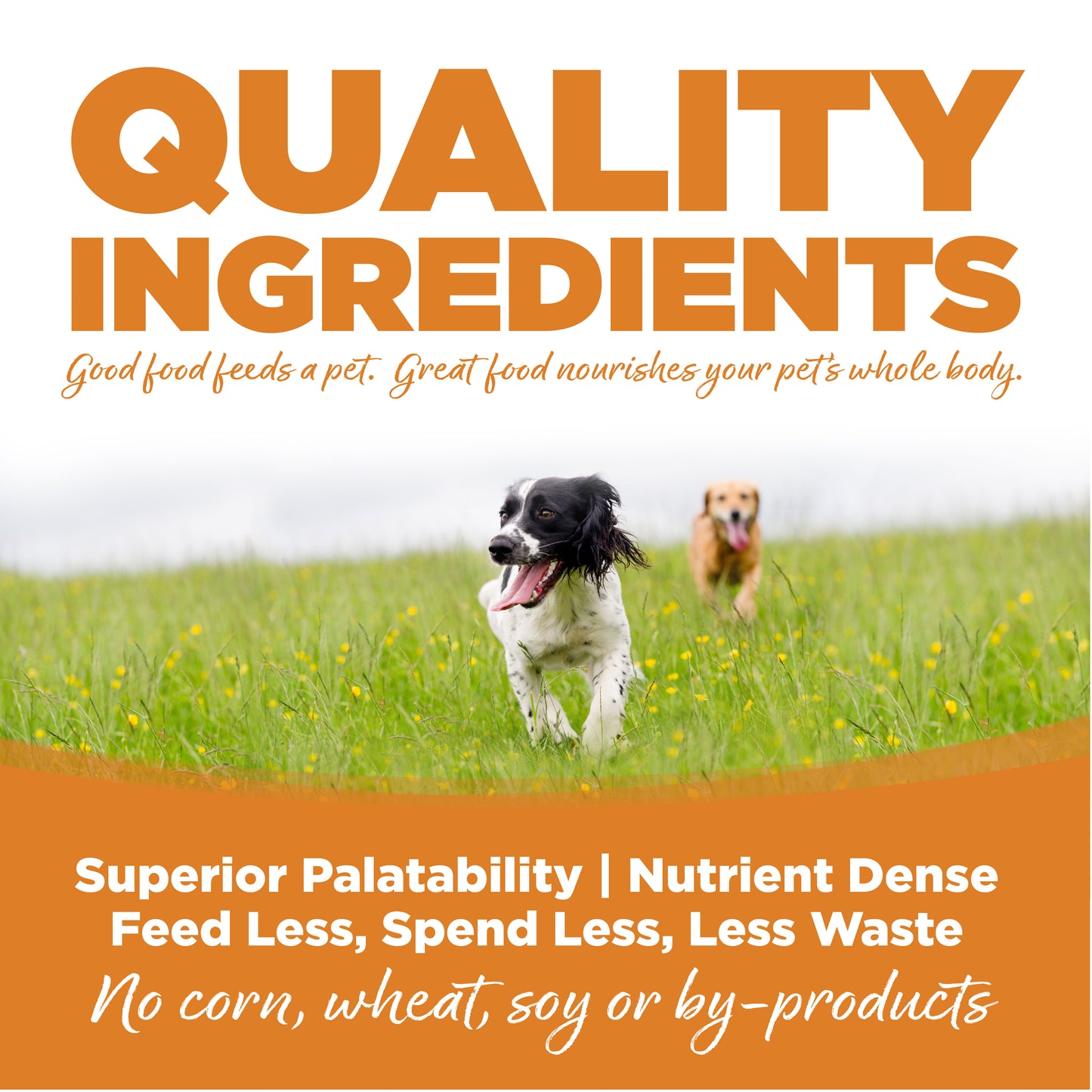 Nutrisource Lamb Meal & Rice Recipe