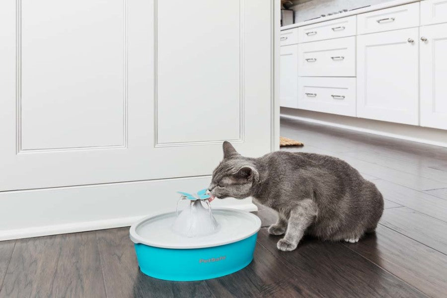 Drinkwell Butterfly Pet Fountain Blue, 1ea