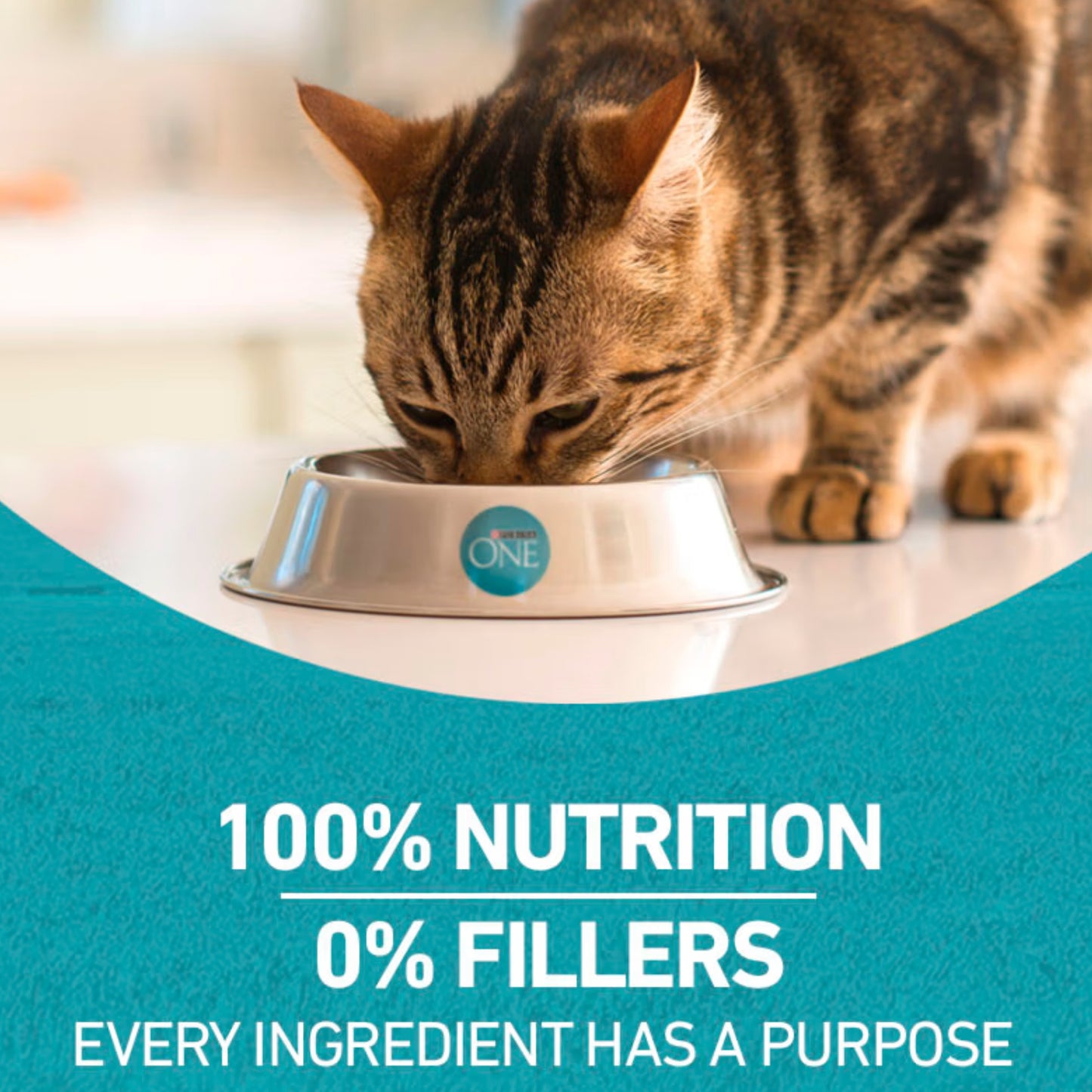 Purina One Tender Selects Blend With Salmon Dry Cat Food