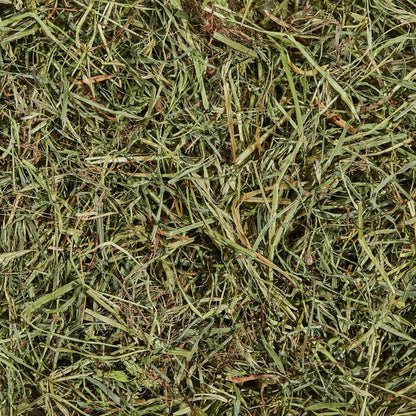 Kaytee Orchard Grass