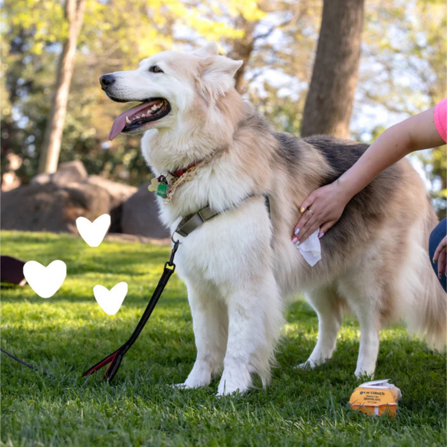 Earthbath Grooming Wipes - Oatmeal & Aloe