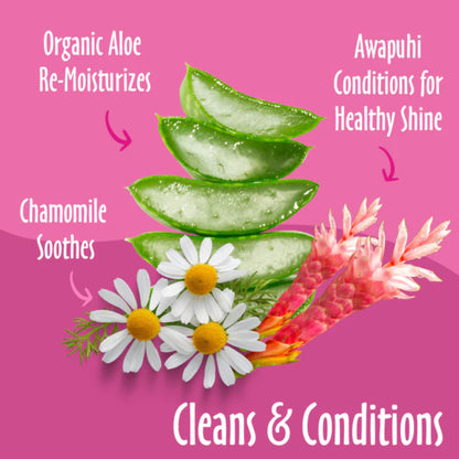 Earthbath Puppy Wipes - Wild Cherry