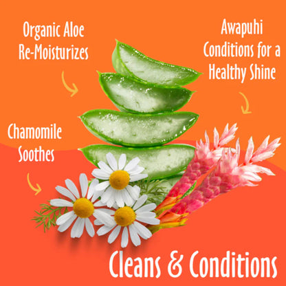 Earthbath Grooming Wipes - Mango Tango