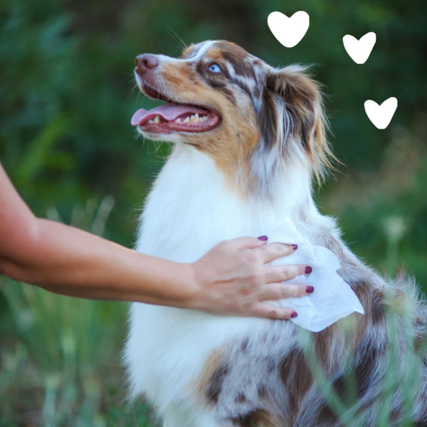 Earthbath Grooming Wipes - Green Tea & Awapuhi