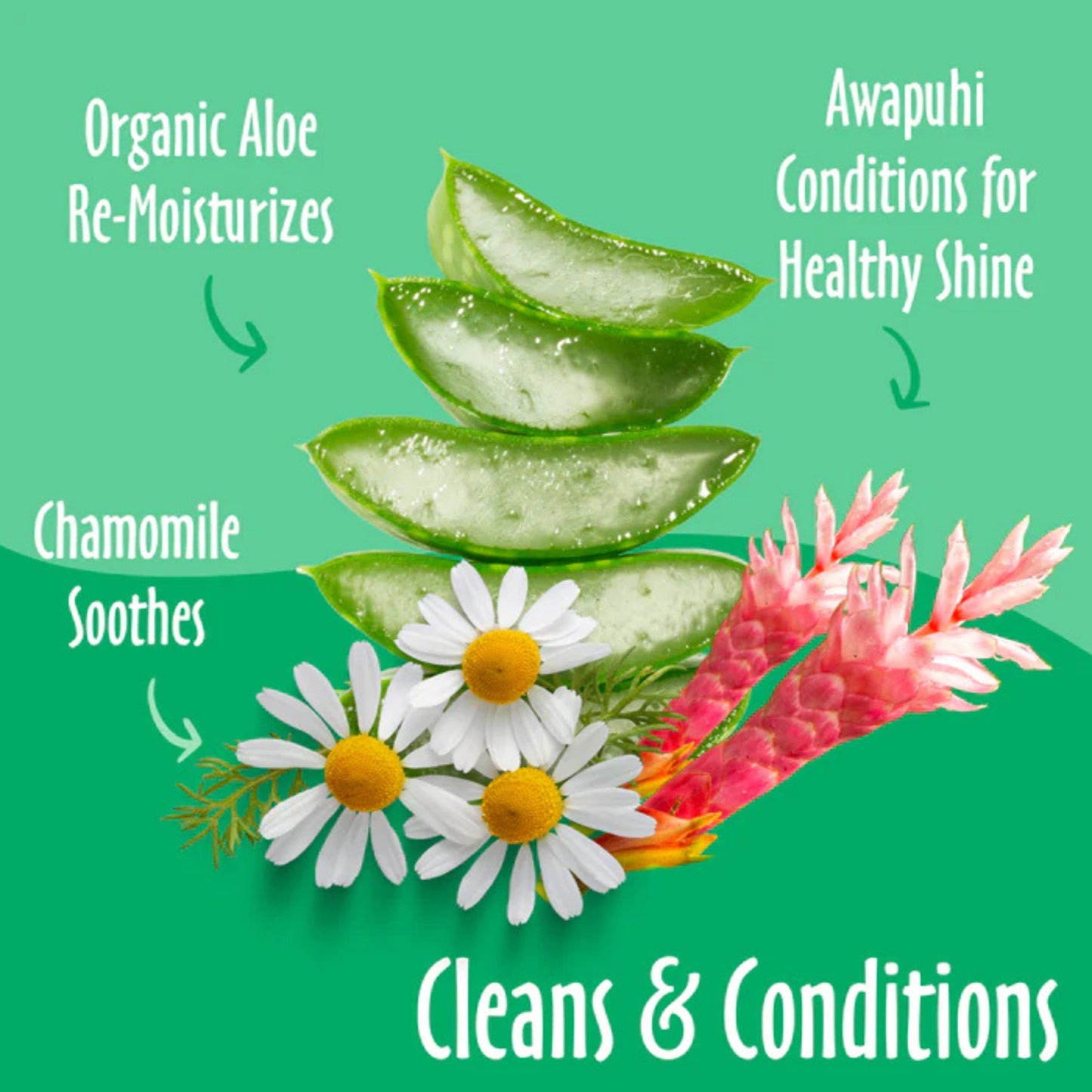 Earthbath Grooming Wipes - Green Tea & Awapuhi