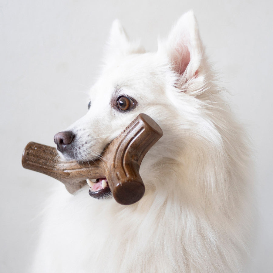 Benebone Stick Durable Dog Chew Toy Bacon, 1ea/MD