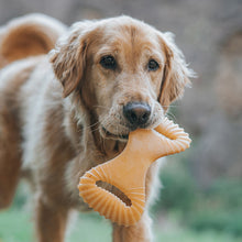 Benebone Dental Chew Durable Dog Chew Toy Bacon, 1ea/LG