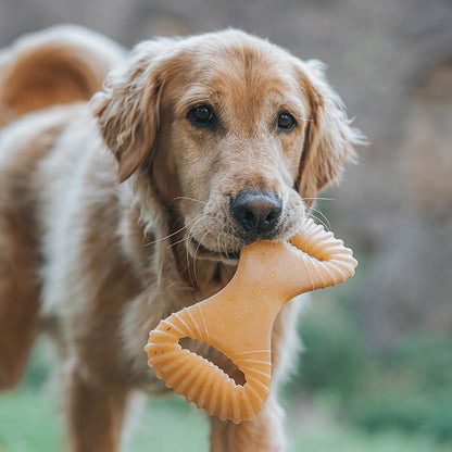 Benebone Dental Chew Durable Dog Chew Toy Bacon, 1ea/LG