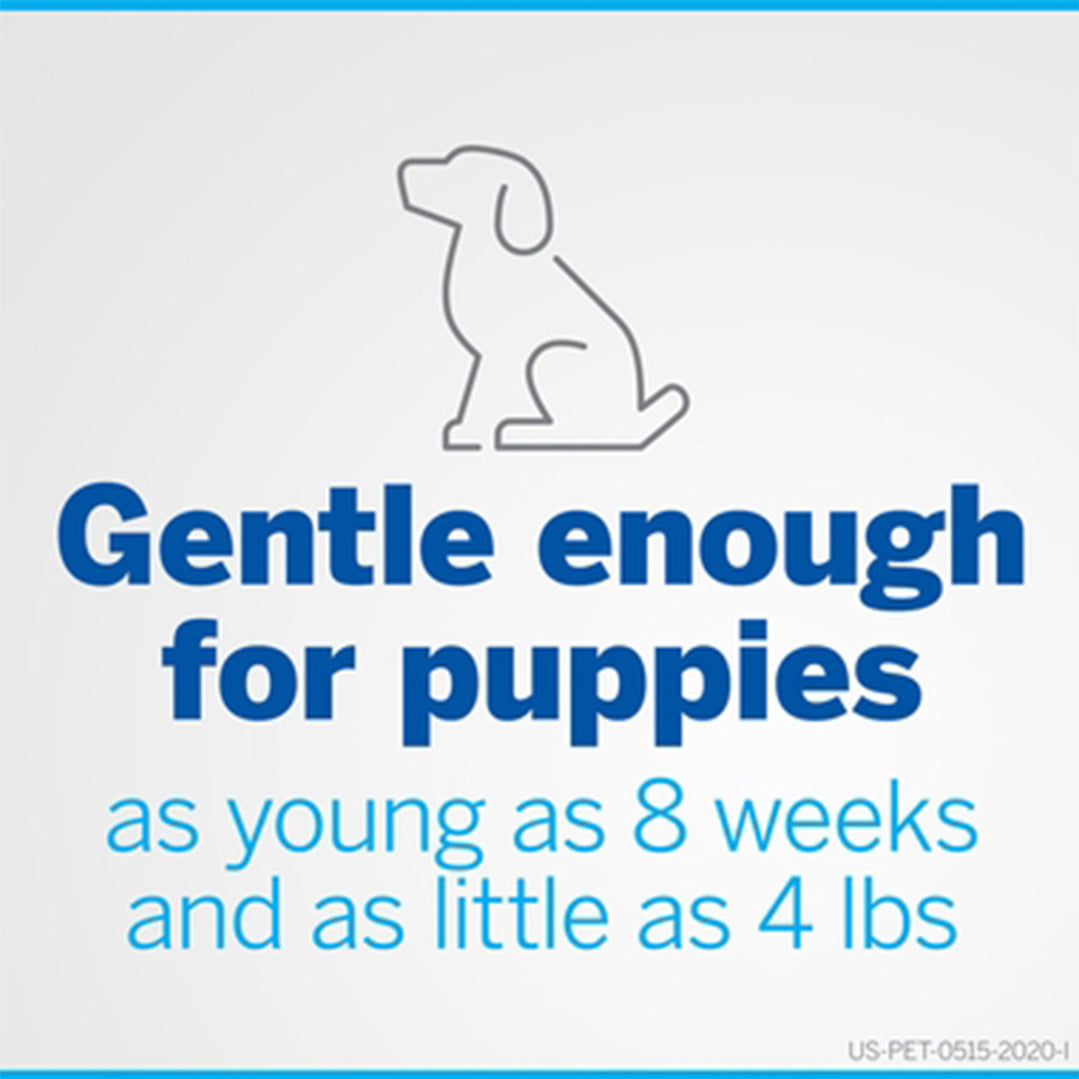 NexGard Chewables for Dogs, 24.1-60 lbs, 3 Chewable Tablets