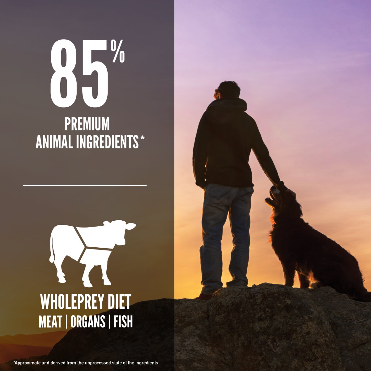 Orijen Regional Red Dog