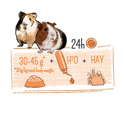 Puur Guinea Pig Food 700g