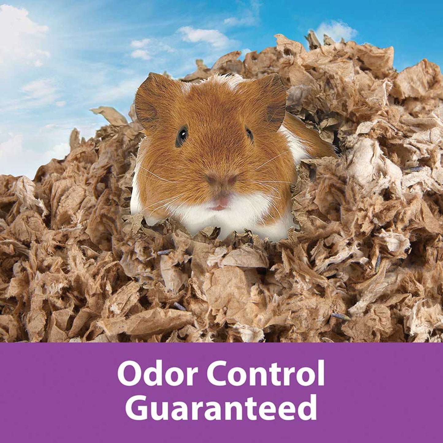 Kaytee Clean & Cozy Natural Lavender Bedding