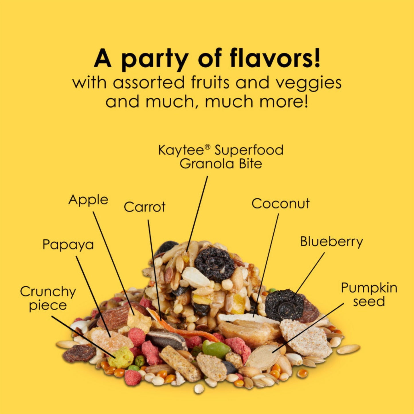 Kaytee Fiesta Cockatiel Food