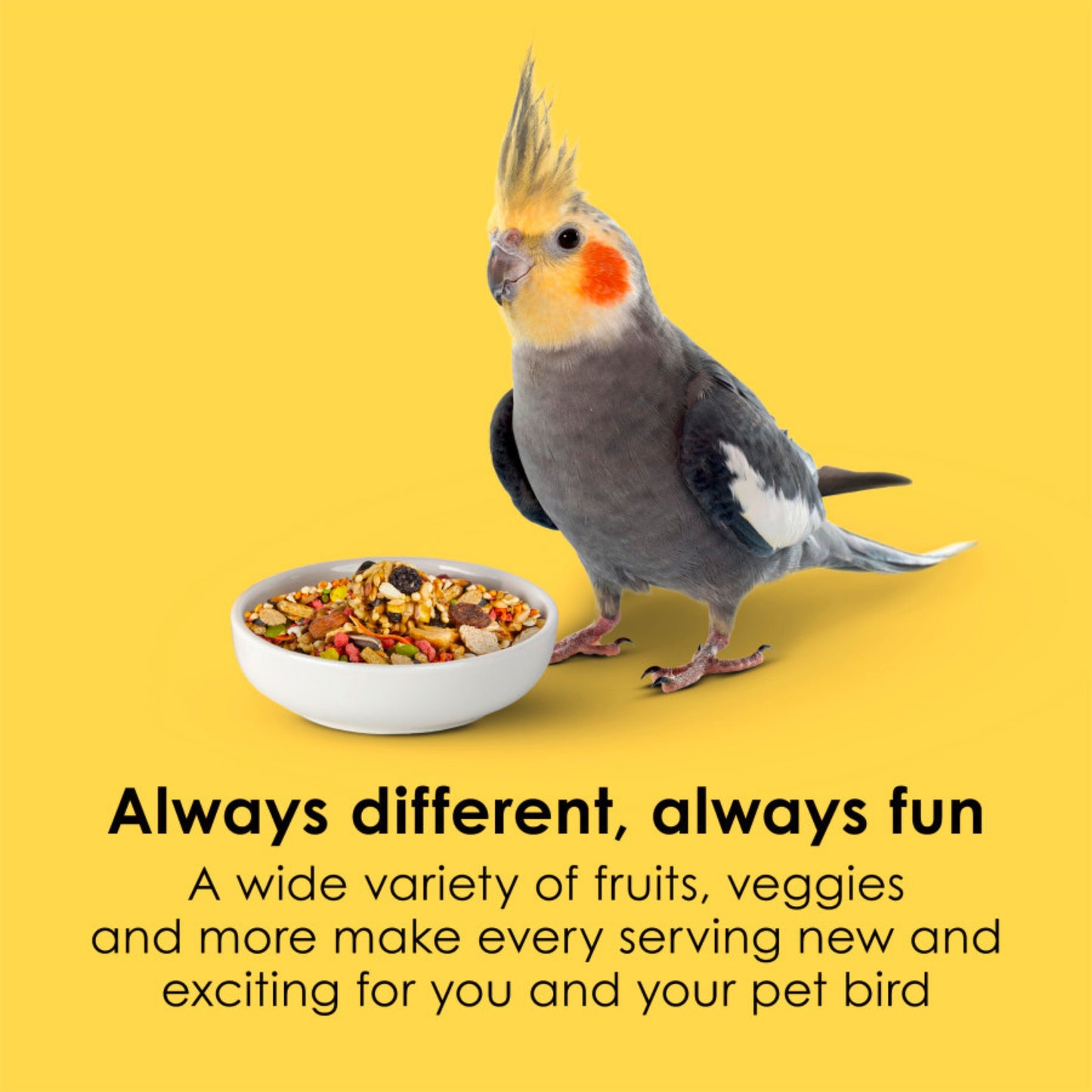 Kaytee Fiesta Cockatiel Food