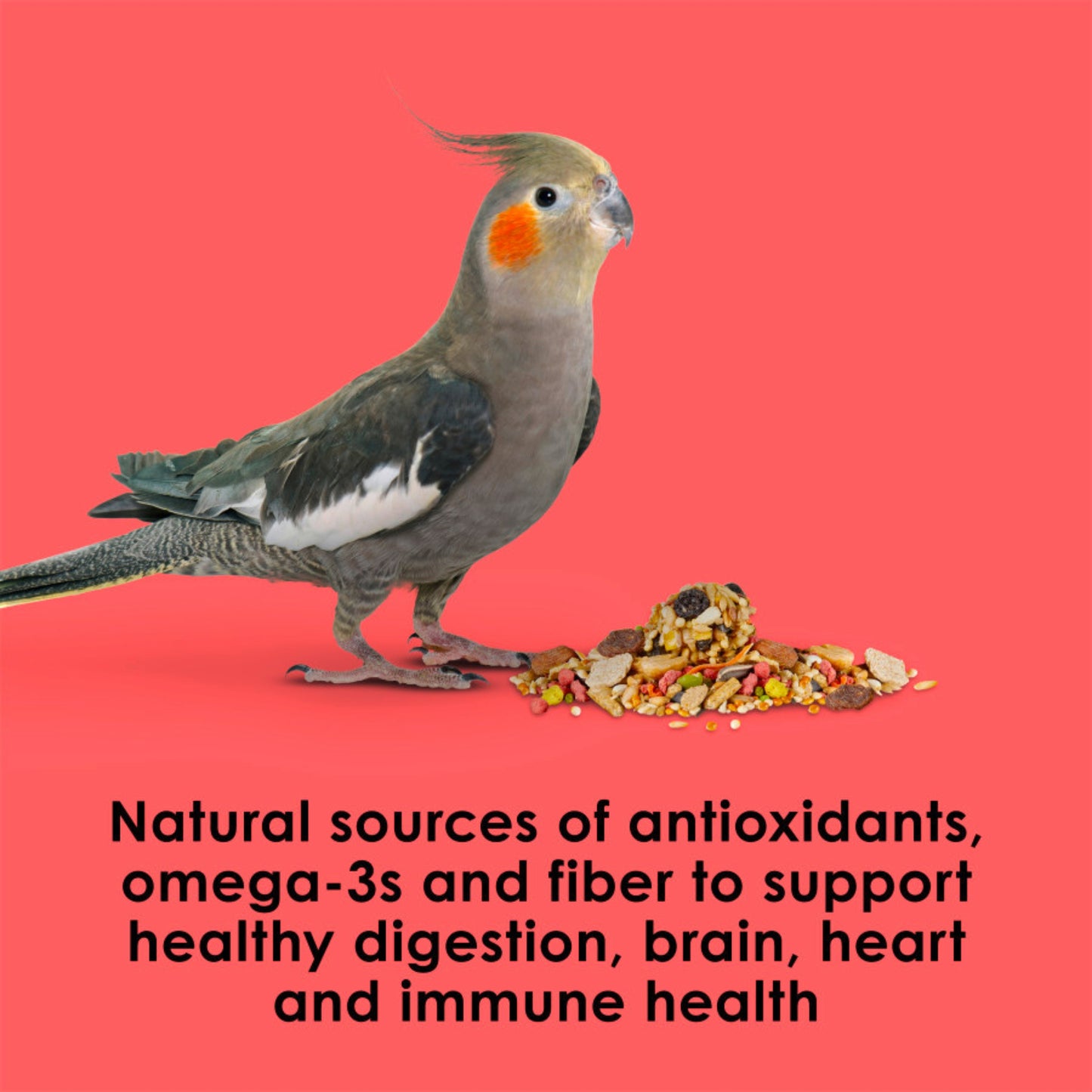 Kaytee Fiesta Cockatiel Food