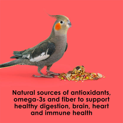 Kaytee Fiesta Cockatiel Food