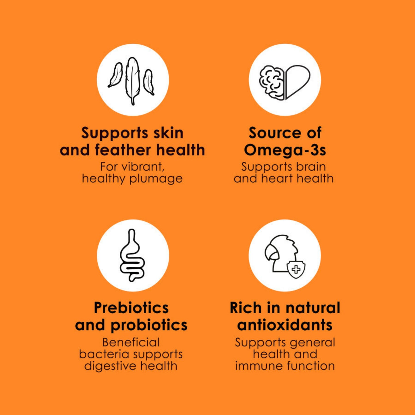 Kaytee Fiesta Cockatiel Food