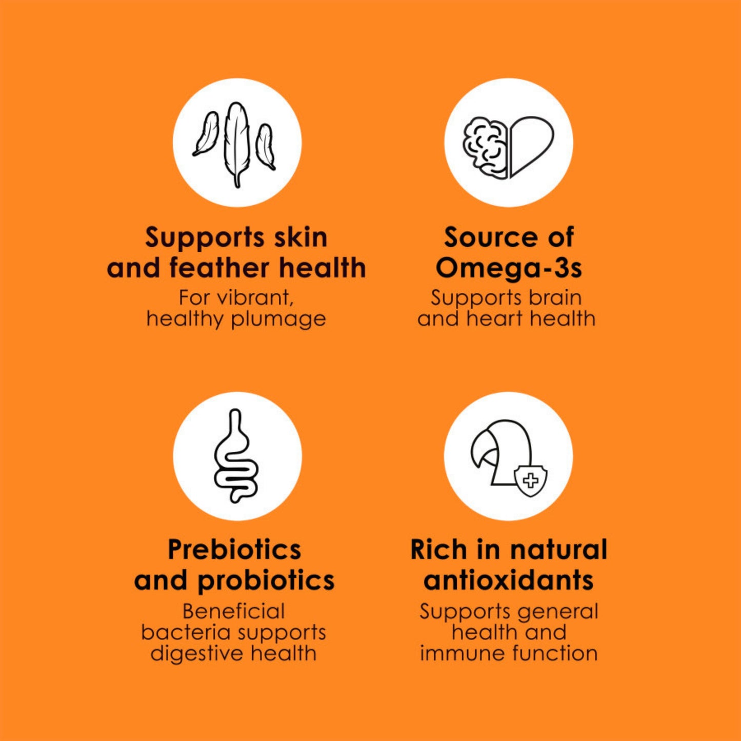 Kaytee Fiesta Macaw Food