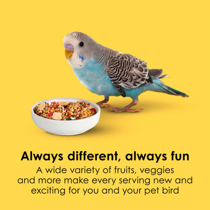 Kaytee Fiesta Parakeet Food