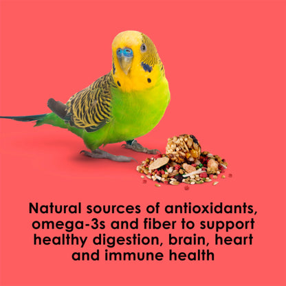 Kaytee Fiesta Parakeet Food