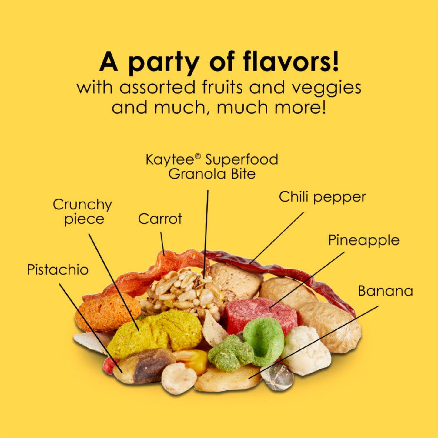 Kaytee Fiesta Parrot Food