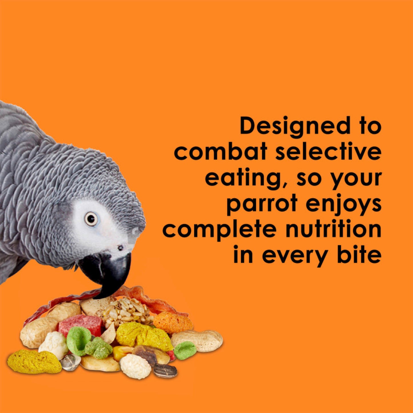 Kaytee Fiesta Parrot Food