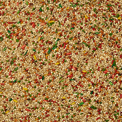 Kaytee Forti-Diet Pro Health Canary and Finch Food