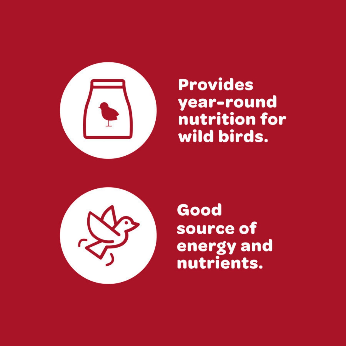 Kaytee Supreme Peanuts