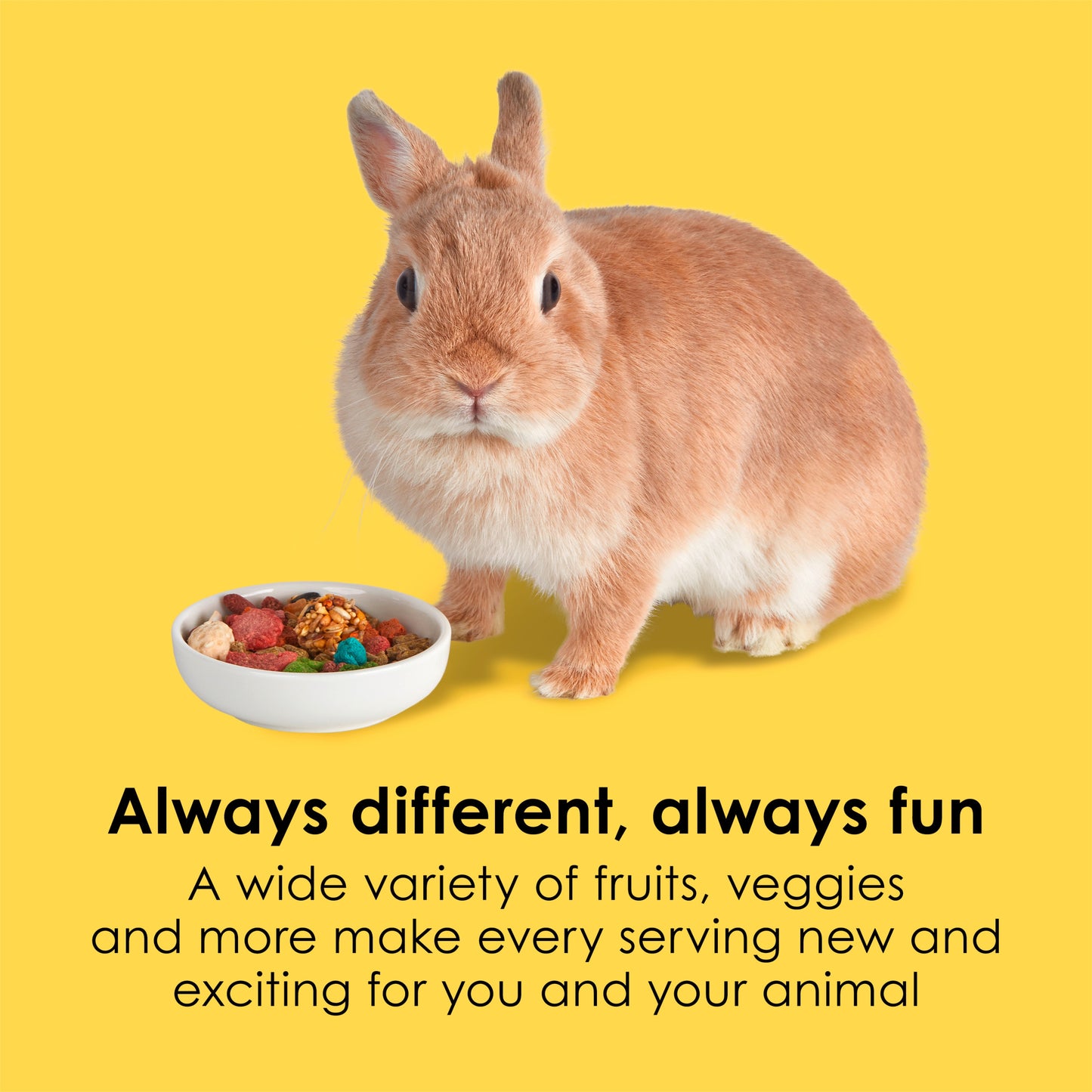 Kaytee Fiesta Rabbit Food