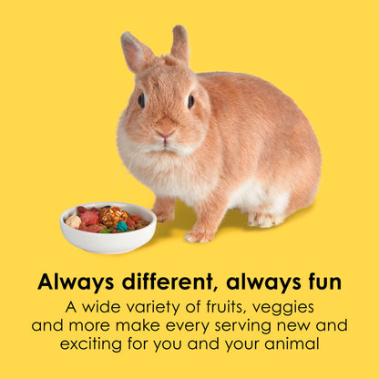 Kaytee Fiesta Rabbit Food