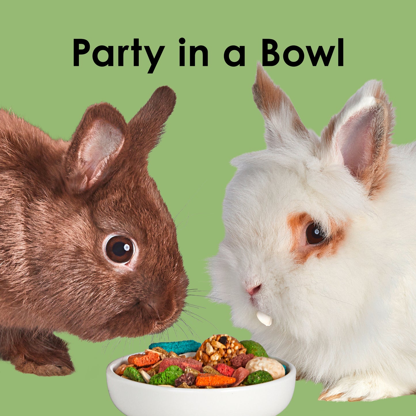 Kaytee Fiesta Rabbit Food