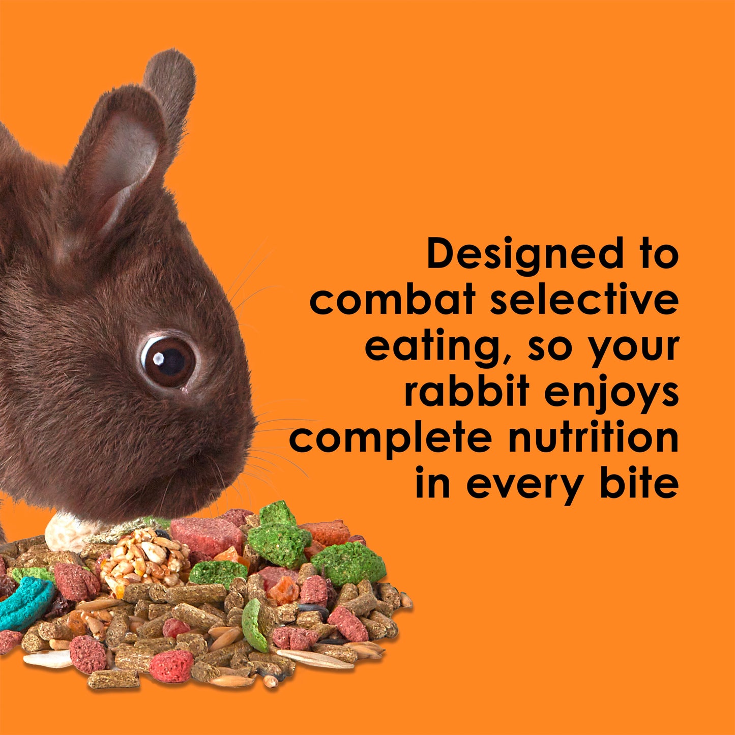 Kaytee Fiesta Rabbit Food