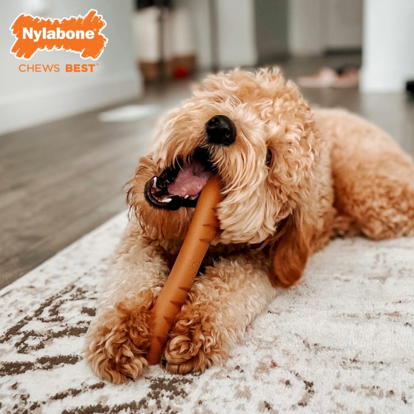 Nylabone Power Chew Baguette Dog Toy