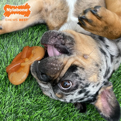 Nylabone Power Chew Pretzel Dog Toy