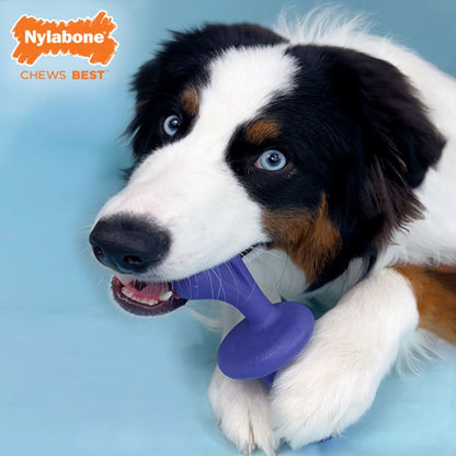 Nylabone Power Chew Rolling Chase N Chew Toy