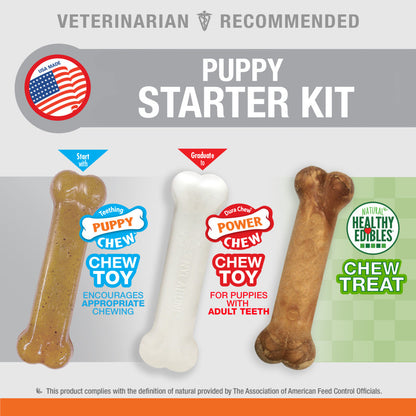 Nylabone Puppy Starter Kit Dog Chew Toys & Treat Chicken & Bacon, 1ea/SMall/Regular - Up To 25 Ibs. (3 ct)
