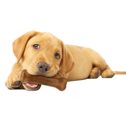 Nylabone Puppy Starter Kit Dog Chew Toys & Treat Chicken & Bacon, 1ea/SMall/Regular - Up To 25 Ibs. (3 ct)