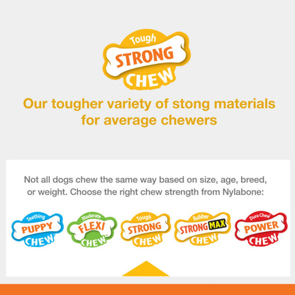 Nylabone Strong Chew Fillable Peanut Dog Toy