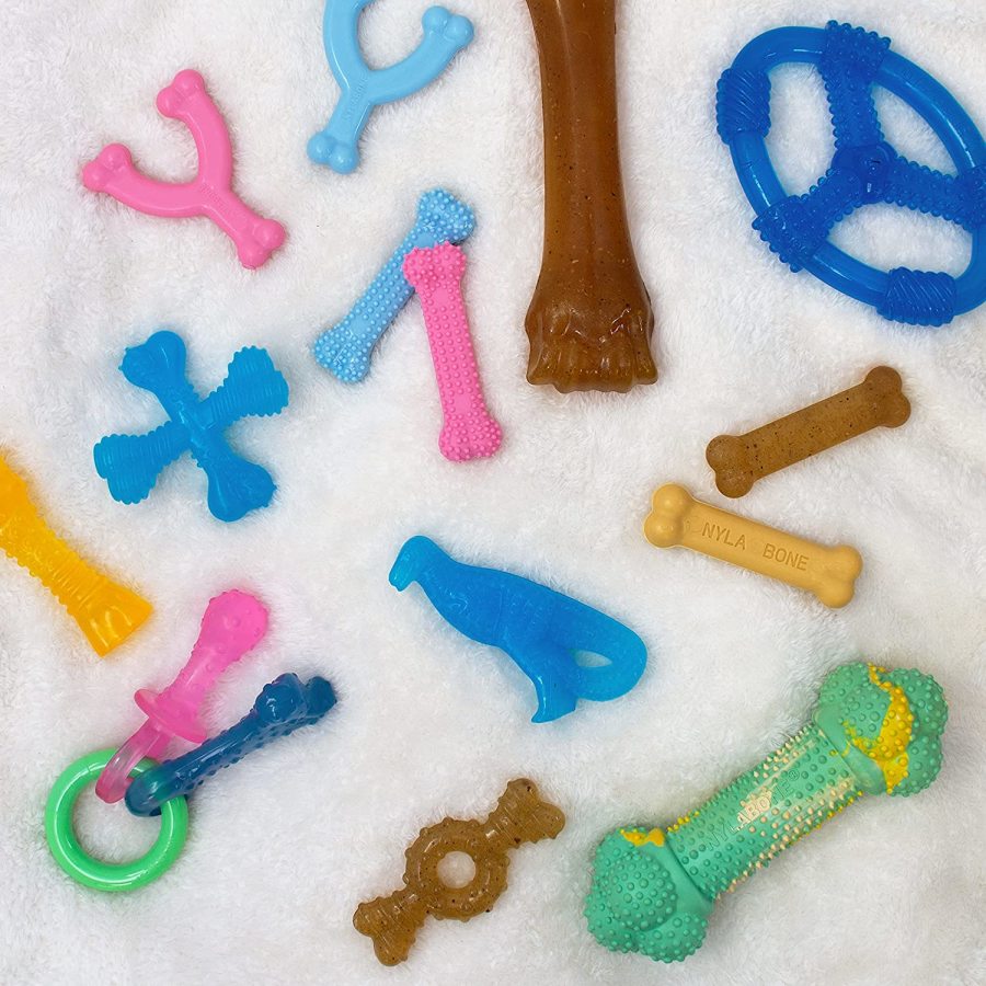 Nylabone Puppy Ring Bone Teething Toy for Puppies Chicken, 1ea/Medium/Wolf - Up To 35 Lbs. (1 ct)