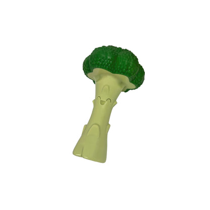 Nylabone Power Chew Broccoli Dog Toy