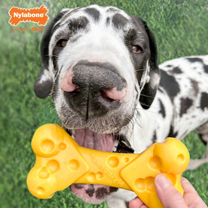 Nylabone Power Chew Cheese Dog Toy