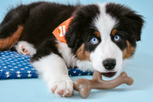 Nylabone Gourmet Style Strong Wishbone Puppy Chew Toy Peanut Butter, 1ea/SMall/Regular - Up To 25 Ibs. (1 ct)