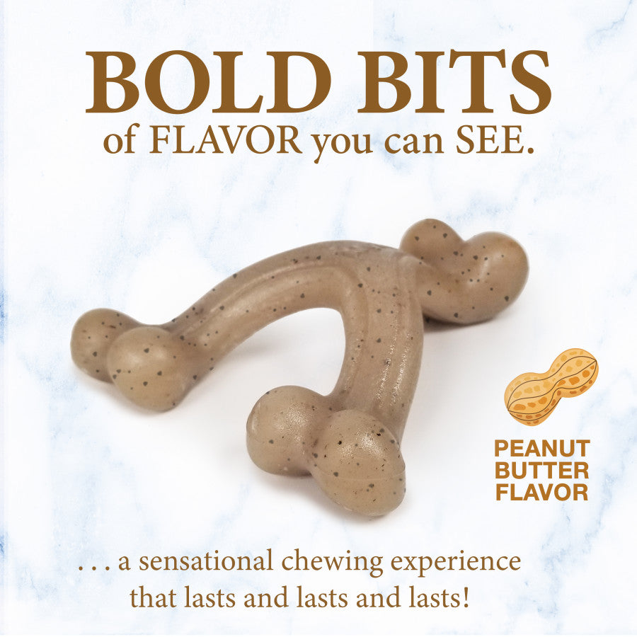 Nylabone Gourmet Style Strong Wishbone Puppy Chew Toy Peanut Butter, 1ea/SMall/Regular - Up To 25 Ibs. (1 ct)