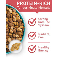 Purina One Tender Selects Blend With  Salmon Dry Cat Food