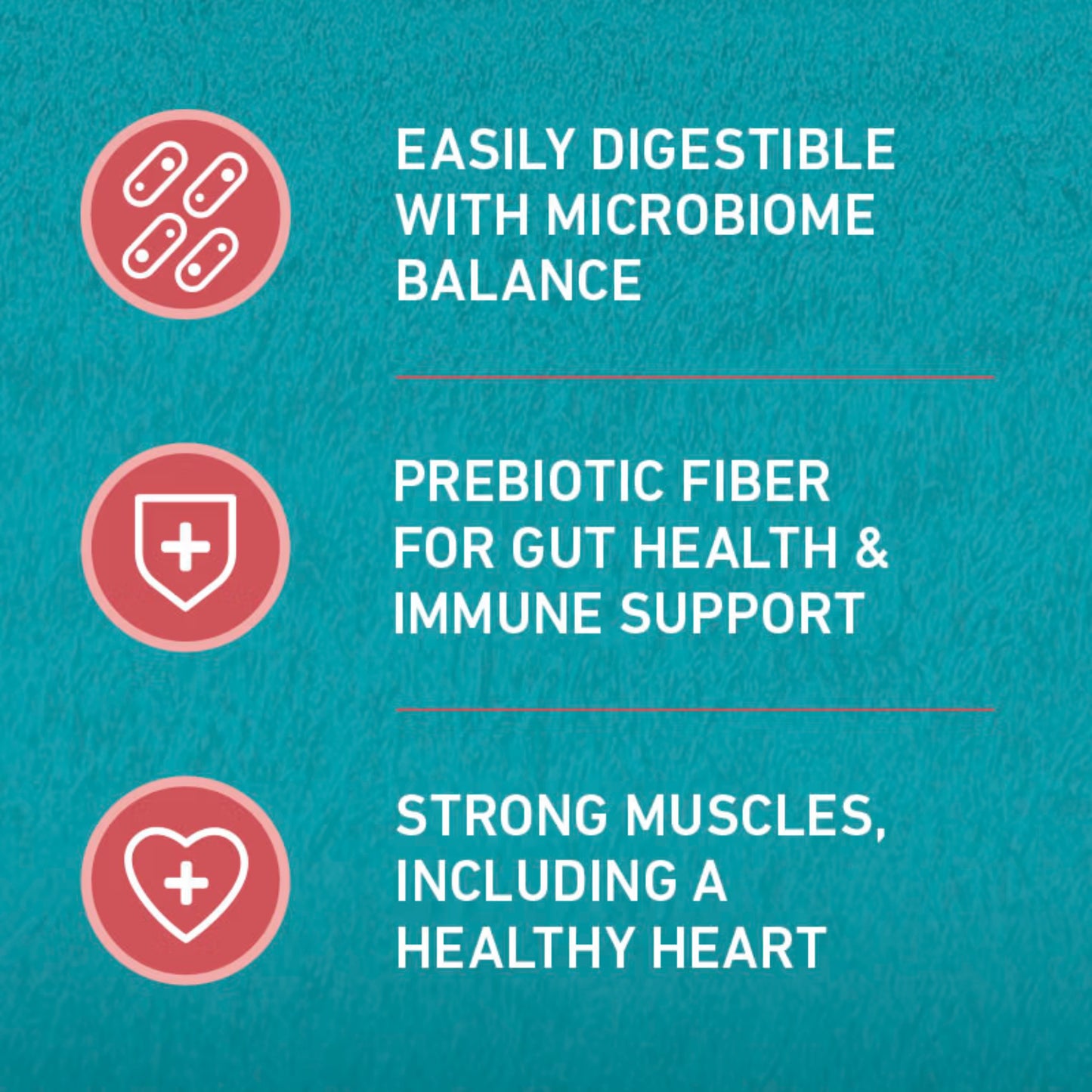 Purina One Tender Selects Blend With  Salmon Dry Cat Food