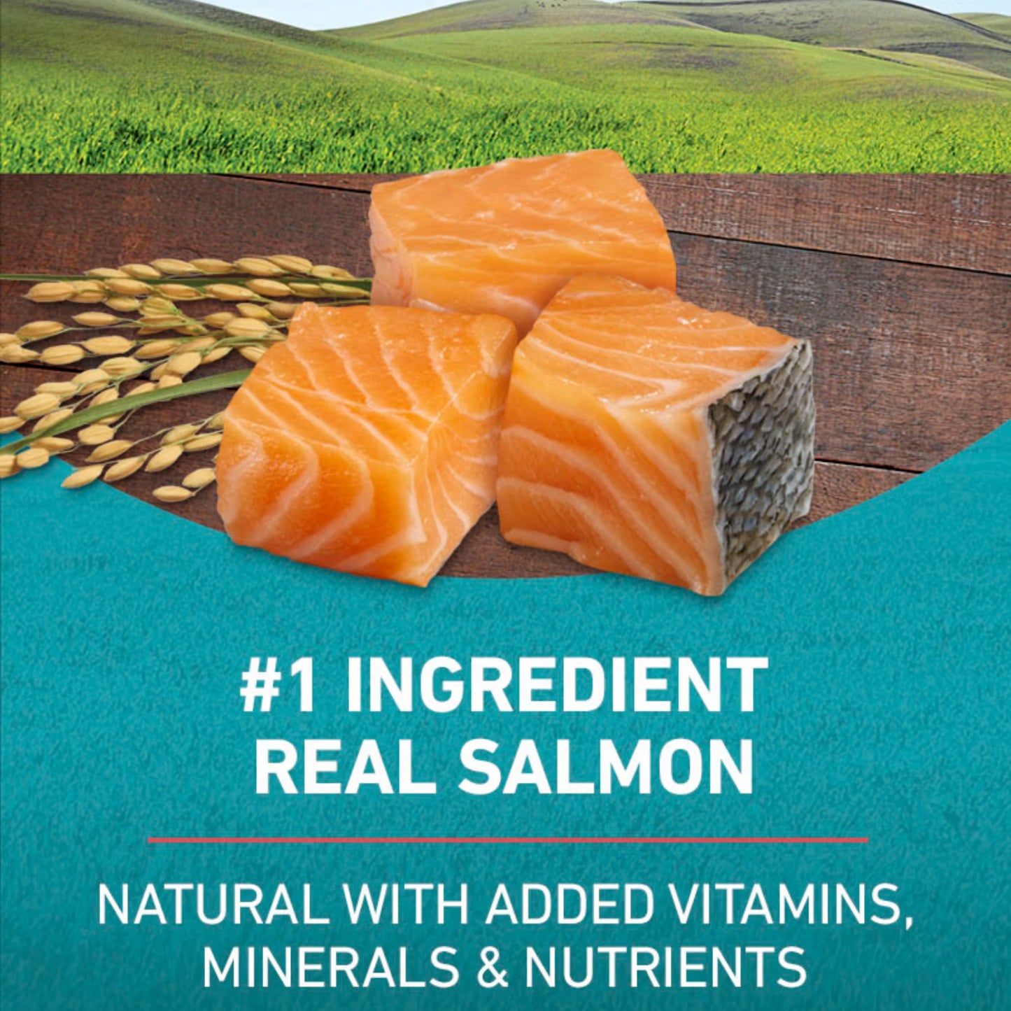 Purina One Tender Selects Blend With  Salmon Dry Cat Food