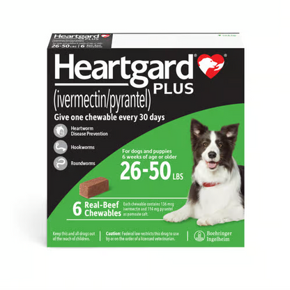 Heartgard Plus Chew for Dogs
