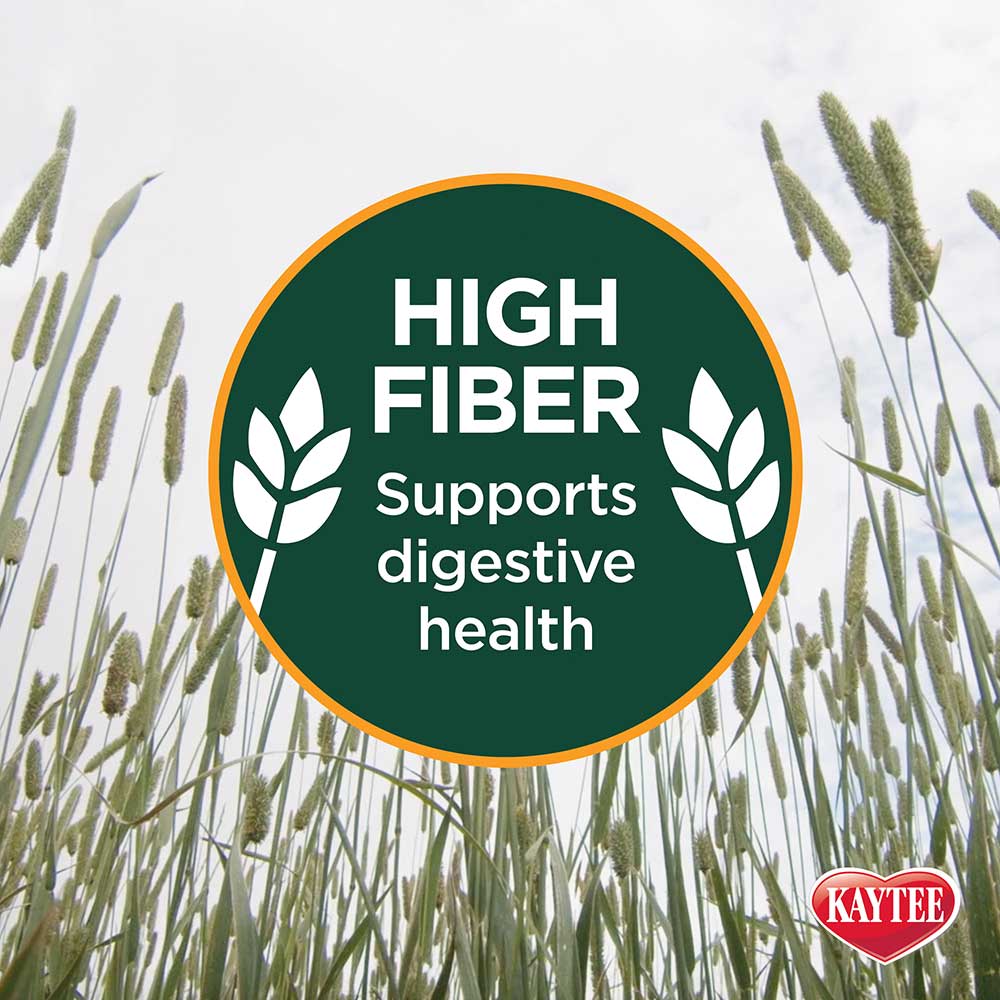 Kaytee Timothy Hay Plus Carrots